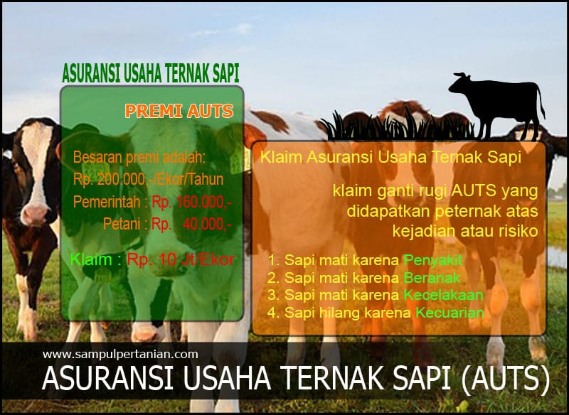 PEMKAB TUBABA PERCEPAT TARGET AUTS/K DEMI LINDUNGI TERNAK MASYARAKAT